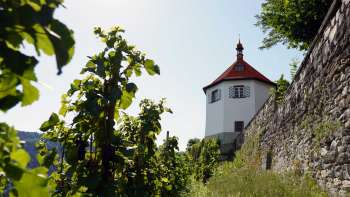 tobias wein.gut. tobias wein.gut.