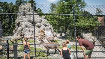 Wildpark Peter und Paul Wildpark Peter und Paul