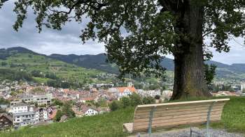 Aussichtspunkt Eiche auf dem Forst Aussichtspunkt Eiche auf dem Forst