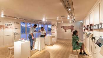 Breitenmoser Gustarium Breitenmoser Gustarium