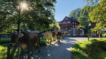 Notkersegg Farm