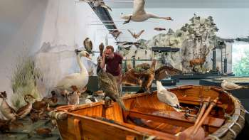 St.Galler Museums-Pass St.Galler Museums-Pass