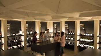 Wein im Rheintal 