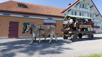 Erlebnis Waldegg Erlebnis Waldegg