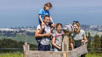 Erlebnisrundfahrt mit Witzwanderweg