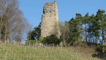 Burg Grimmenstein