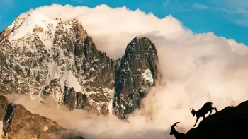 Explora präsentiert: Die Wildnis Zuhause
