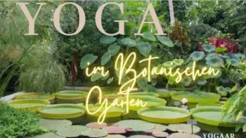 Yoga im Botanischen Garten