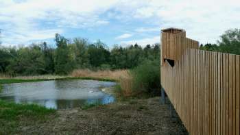 Naturbeobachtungsturm Weitsicht am Alten Rhein Naturbeobachtungsturm Weitsicht am Alten Rhein