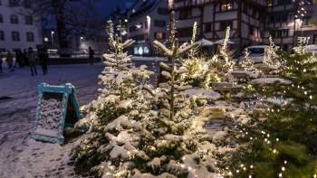 St.Gallen Star Market