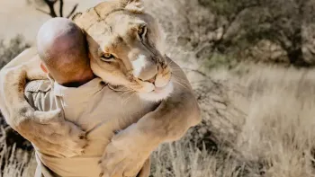 Explora präsentiert: Löwenland