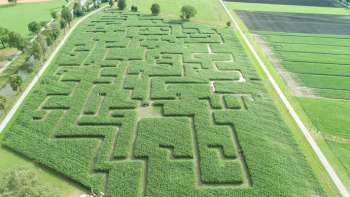 RhyLa - Rhintaler Maislabyrinth Balgach RhyLa - Rhintaler Maislabyrinth Balgach