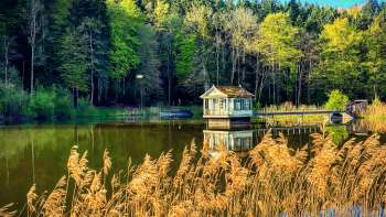 Wenigerweiher Wenigerweiher