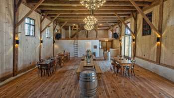 Castle Vineyard Grünenstein