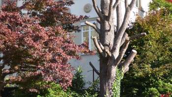 Holiday apartment in St.Gallen