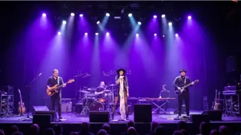 Bonnie and the groove Cats