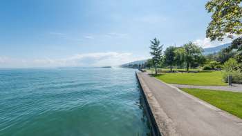 Arion-Wiese Rorschach Arion-Wiese Rorschach